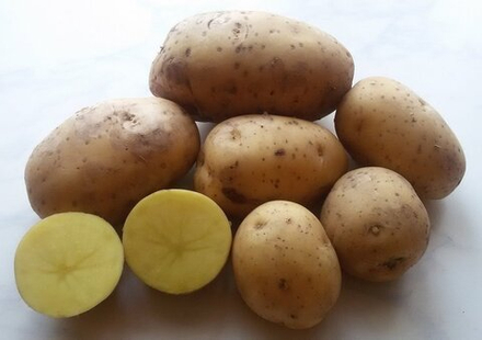 Картофель семенной Гала - 2 кг