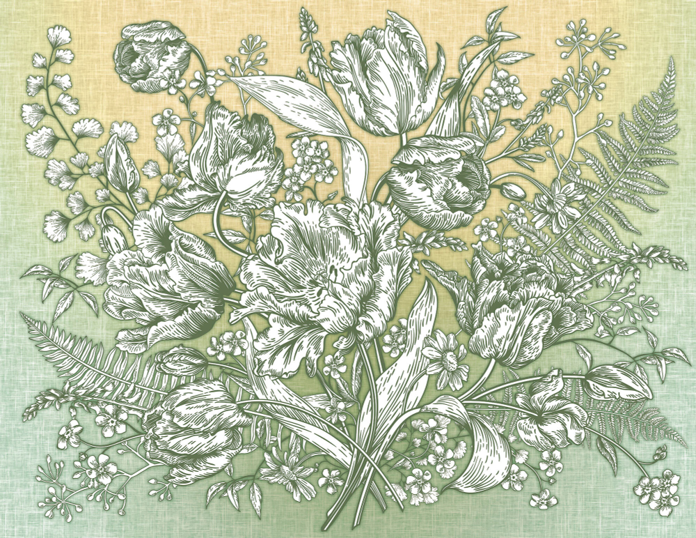 Коллекция Grafika Natura