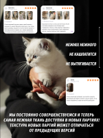 Костюм спортивный женский Bisher черный