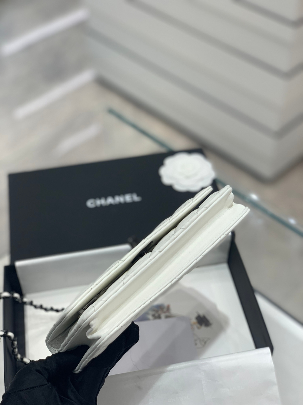 Chane1 WOC 19 cm