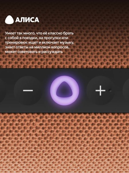 Умная колонка Яндекс Станция Стрит с Алисой, Оранжевый | Orange