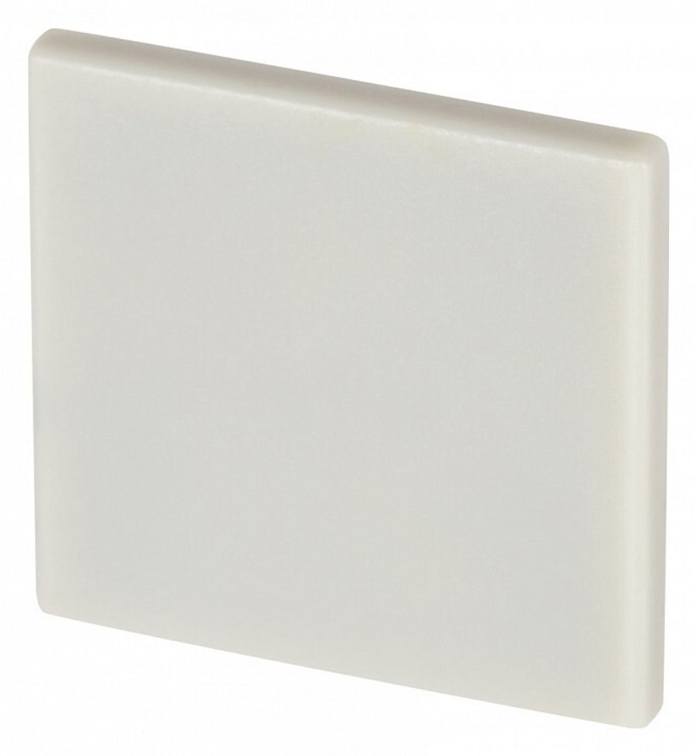 Заглушка для профиля Maytoni  ALM007EC