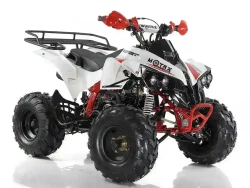Квадроцикл MOTAX ATV Raptor Super LUX 125 cc