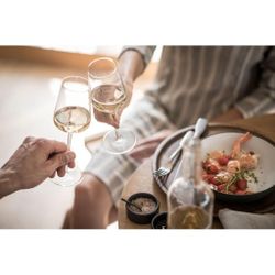 Бокал для вина 487 мл хр. стекло   d 8,4 см h23,8 см Schott Zwiesel [6]