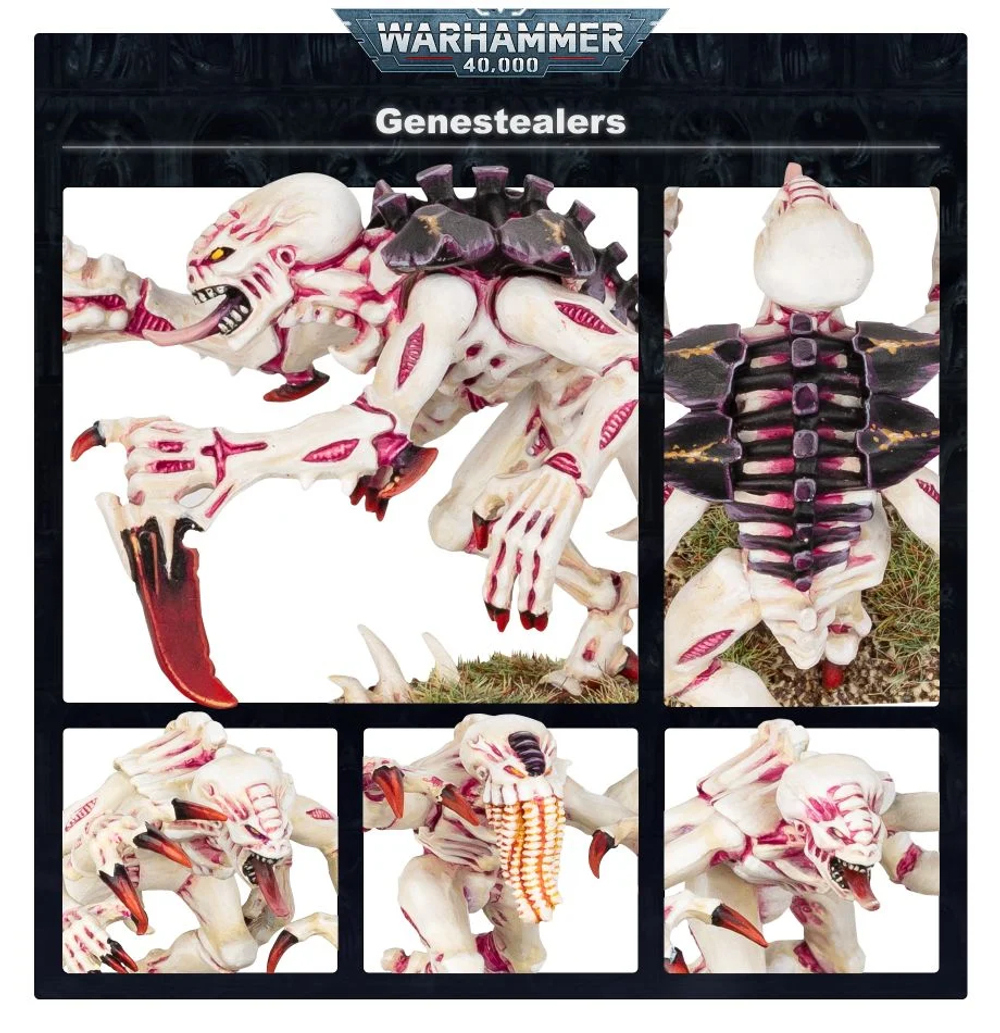 Tyranid Genestealers