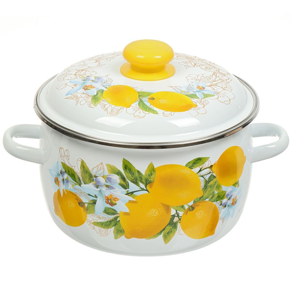 Кастрюля сталь, эмал, 4 л, с крыш, крышка сталь, сферическая, Сиб товары, Лимоны, 3MC201P, индукц