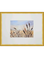 Картина авторская акварельная в паспарту 21х30 см на стену для интерьера "Рожь на рассвете"
