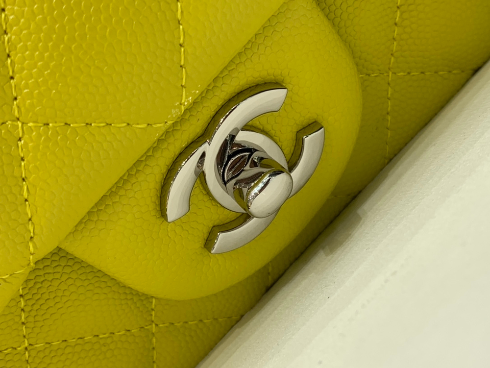 Chanel Bag 20 cm