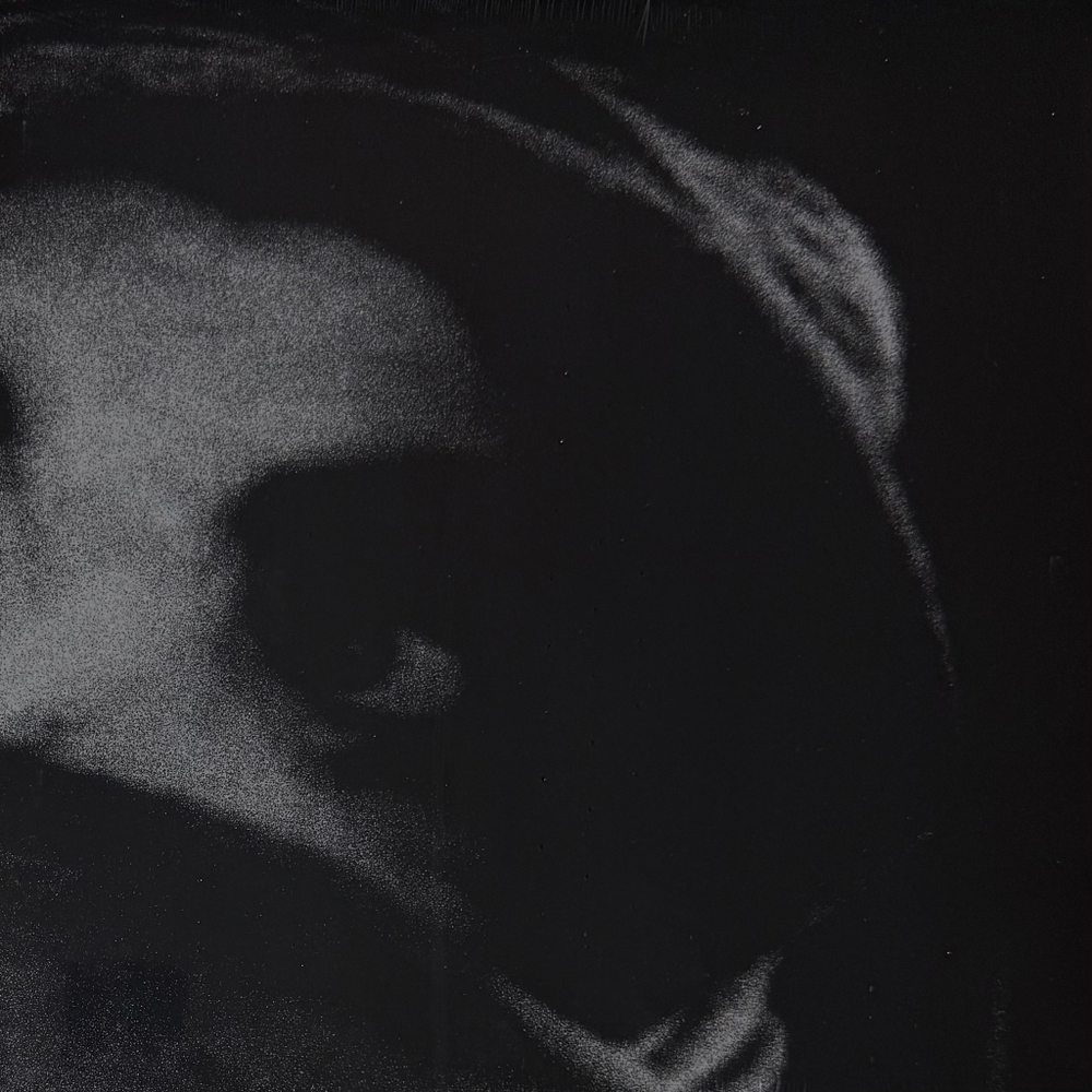 The Body – The Crying Out Of Things (США 2024г.)