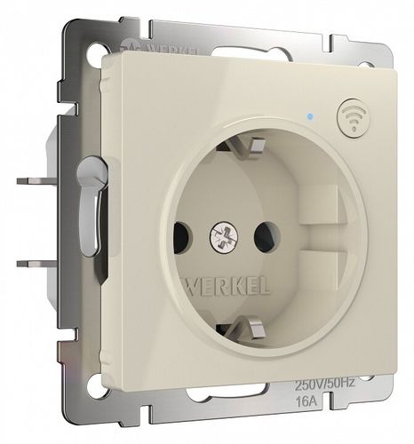 Розетка умная Werkel W1171603