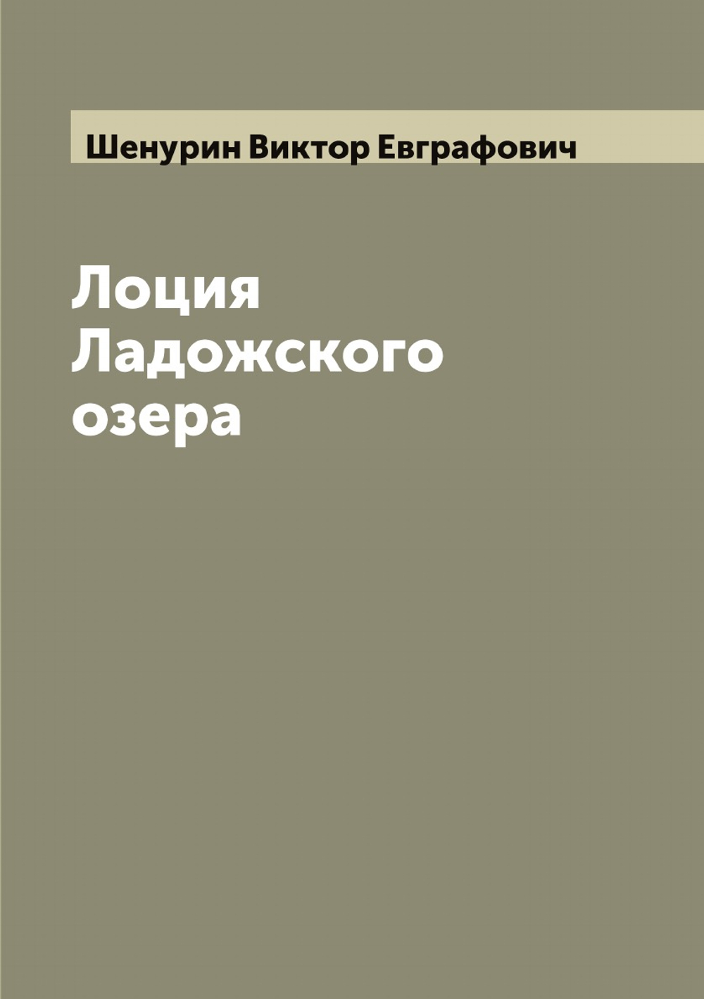 Лоция Ладожского озера | Шенурин Виктор Евграфович