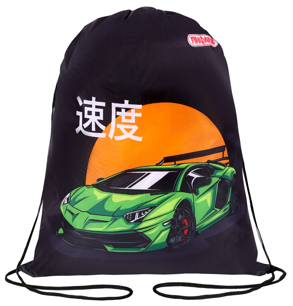 Мешок для обуви ПИФАГОР, 1 отделение, 42х34 см, "Dive into drive", 272388