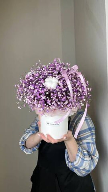 Гипсофилы с хлопком