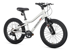 Велосипед Детский Maxiscoo 3BIKE 20'' L Серый (2025)