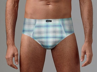 Набор из 2 клетчатых трусов-слипов (Размер: XL) (Цвет: разноцветный)