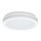Светильник накладной Citilux LUNS CL711010V