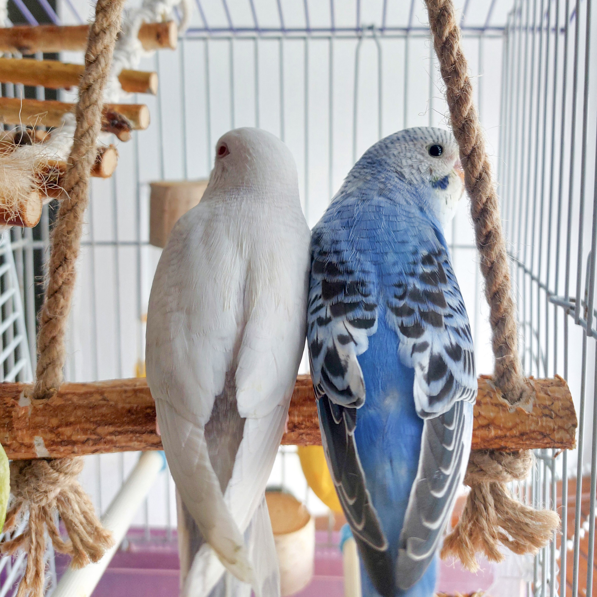 Дочь фермеров