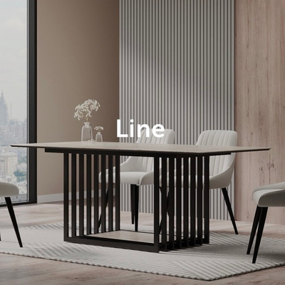 Стол обеденный стационарный Line