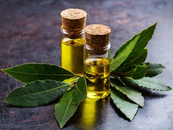 Эфирное масло Лавр. 10 мл.