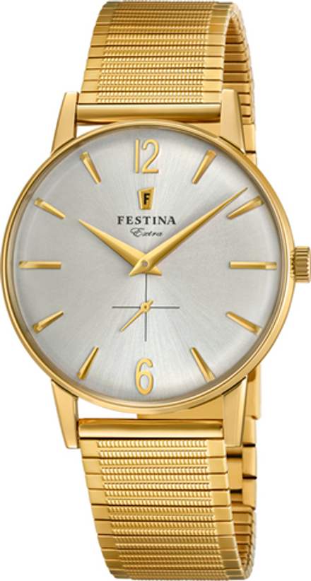 Мужские наручные часы Festina F20251/2