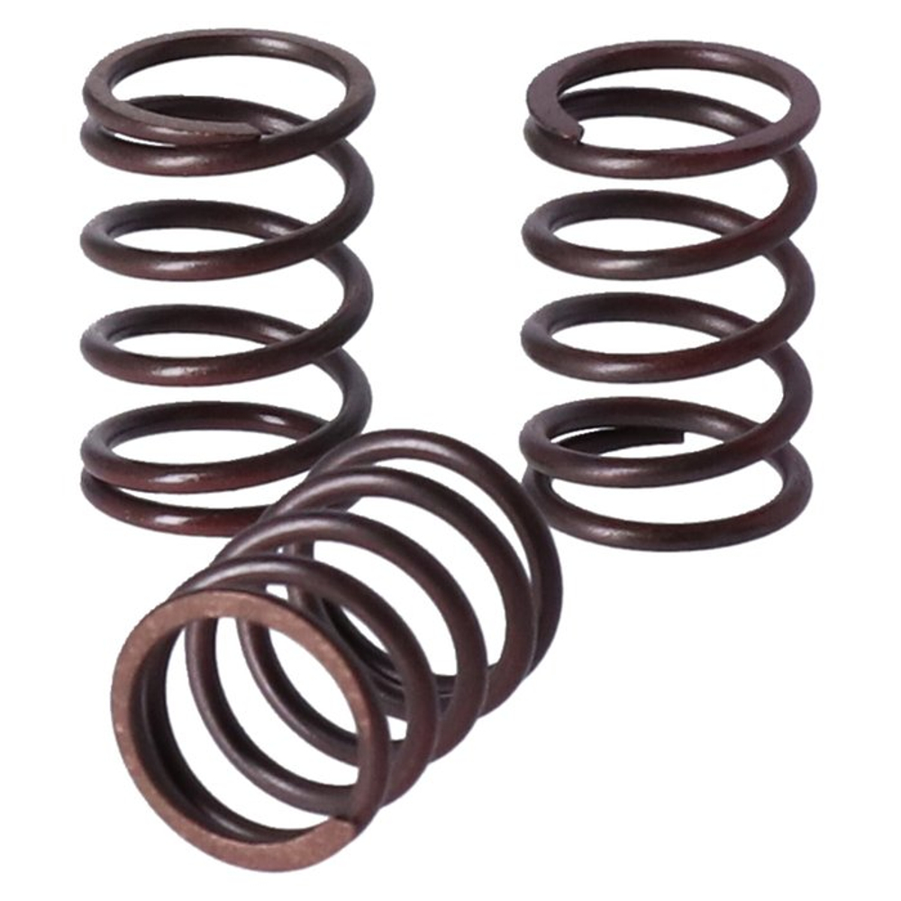 TRW clutch spring kit Reinforced clutch spring set