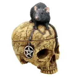 Шкатулка Крыса на черепе 16 см
