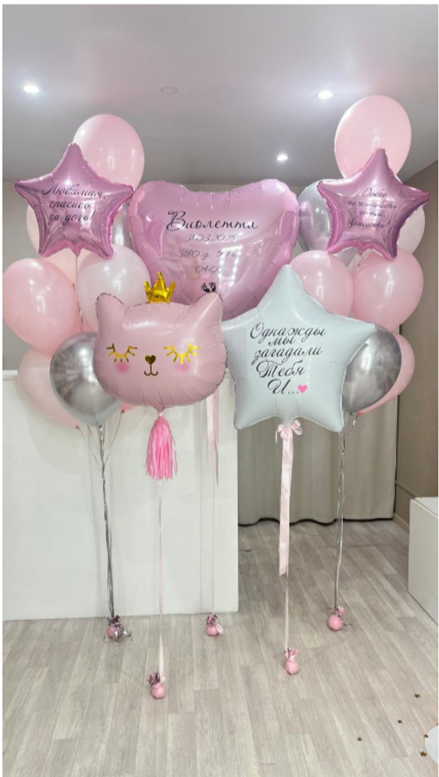 Шары на выписку №300