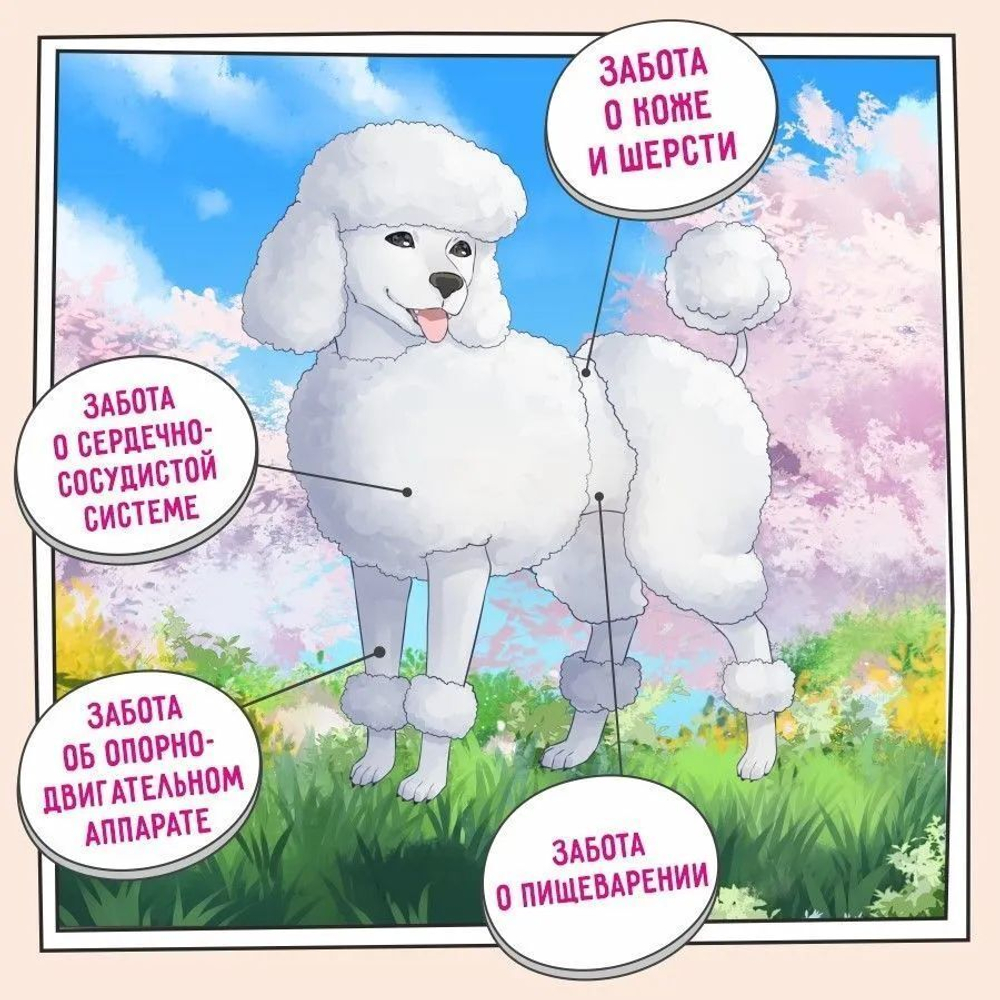 Сухой корм для собак ZILLII Dog Adult 3кг белая рыба и лосось