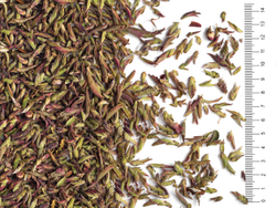 760004 Чай белый "Цзы Я Бао" (Пурпурные почки с пуэрных деревьев), коллекционный №300