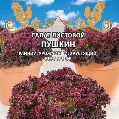 Салат листовой Пушкин