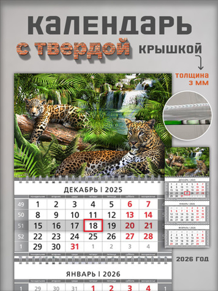 Настенный квартальный трехблочный календарь "Леопарды"
