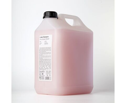 Шампунь для защиты цвета и блеска волос Back Bar Color 5000 мл FV