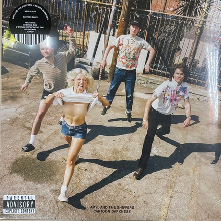 Виниловая пластинка Amyl and The Sniffers ‎– Cartoon Darkness LP