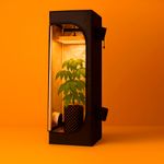 Гроубокс probox basic 60 вид спереди с растением и включенной лампой для выращивания