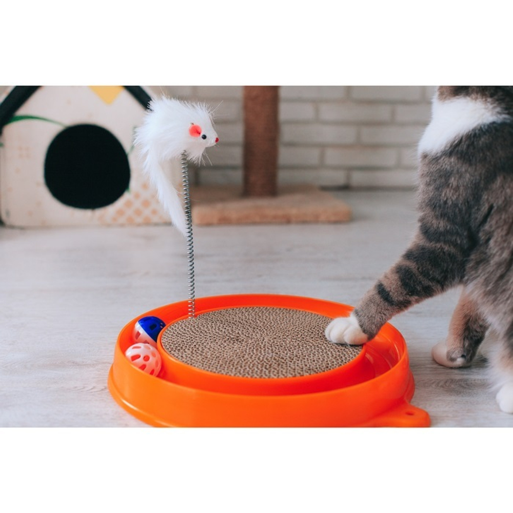 Игровой комплекс для кошек с гофрокогтеточкой, мышью на пружине и 2 шариками