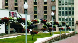 Арка Сингл-2