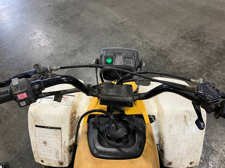 Yamaha YF100M , 2000