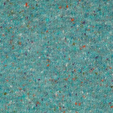 Пряжа 1/3.8 NM Soft Donegal, цвет 5572 Vichy (100% шерсть мериноса)