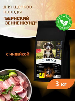 Корм сухой для щенков породы Бернский зенненхунд, с индейкой, 3 кг, QUATTRO