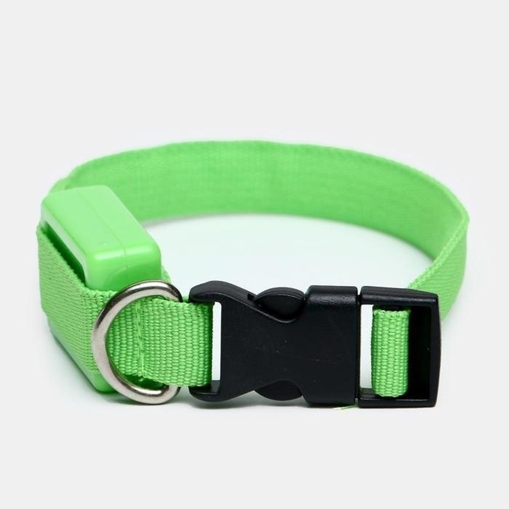 Ошейник светящийся узкий для небольших собак, 3 режима, 26см, Зеленый