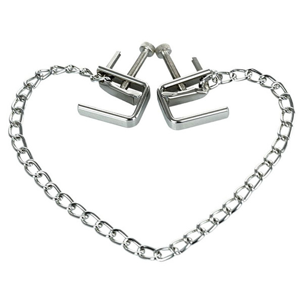 Серебристые зажимы для сосков с цепочкой ToyFa Theatre 705004