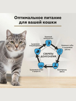 Влажный корм для стерилизованных кошек Secret Life Force (Секрет) 0,085кг говядина в соусе пауч, 24 шт