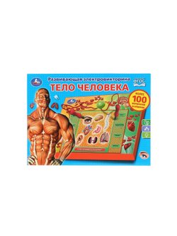 Электровикторина тело человека более 100 вопросов и ответов