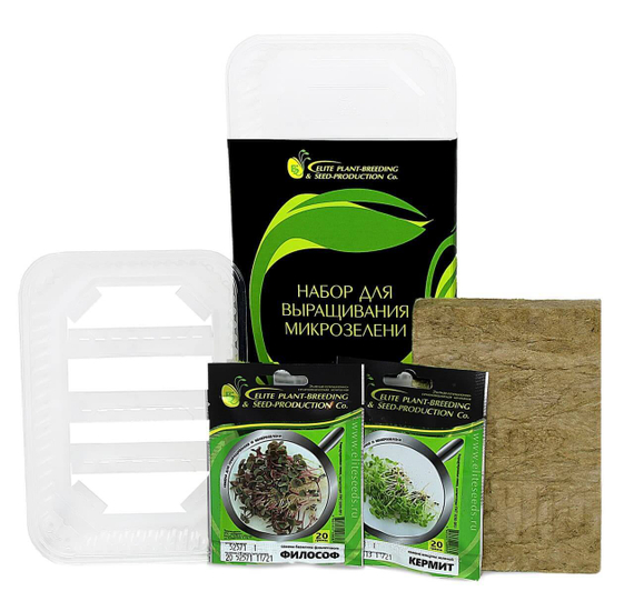 Набор для выращивания МИКРОЗЕЛЕНИ №2 (Базилик лиловый+Мицуна зеленая) (Гавриш) – фото 2