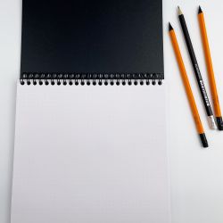 Блокнот Rhodia Classic Reverse Book на спирали 21х21 в точку 80 гр черный (193639C) 3