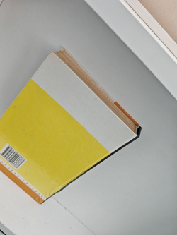 Платон. Аристотель (ЖЗЛ)