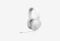 JBL Quantum 100M2_0126522102031