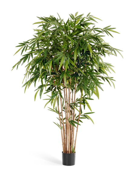 Бамбук Новый натуральный, в-150 см, 180 см, 210 см, 240 см, 270 см