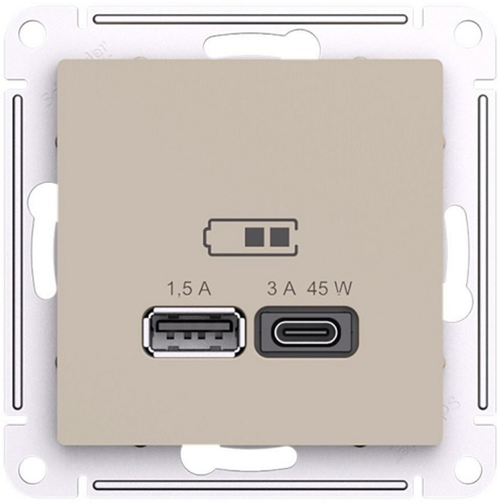 Розетка USB  Systeme Electric ATN001229