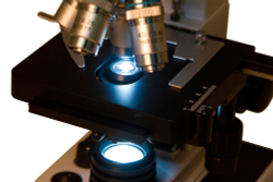 Микроскоп Bresser Erudit DLX 40–1000x - фото 5